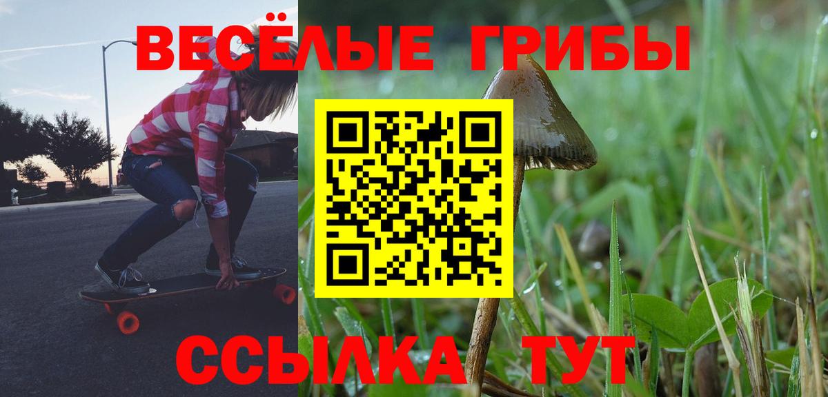Галлюциногенные грибы прущие грибы  Галлюциногенные грибы Cubensis  Вход с VPN  Старая Купавна 
